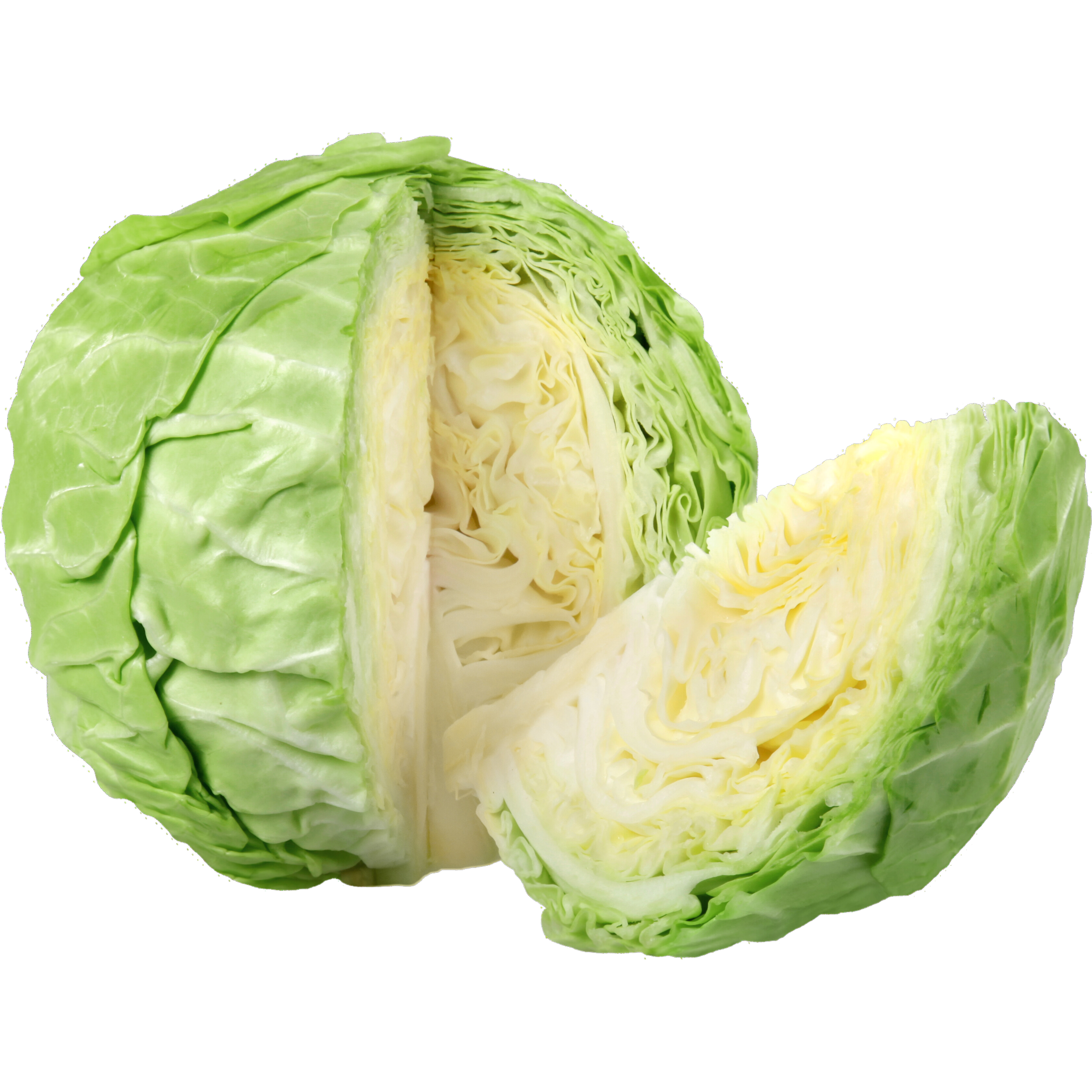 Green Cabbage