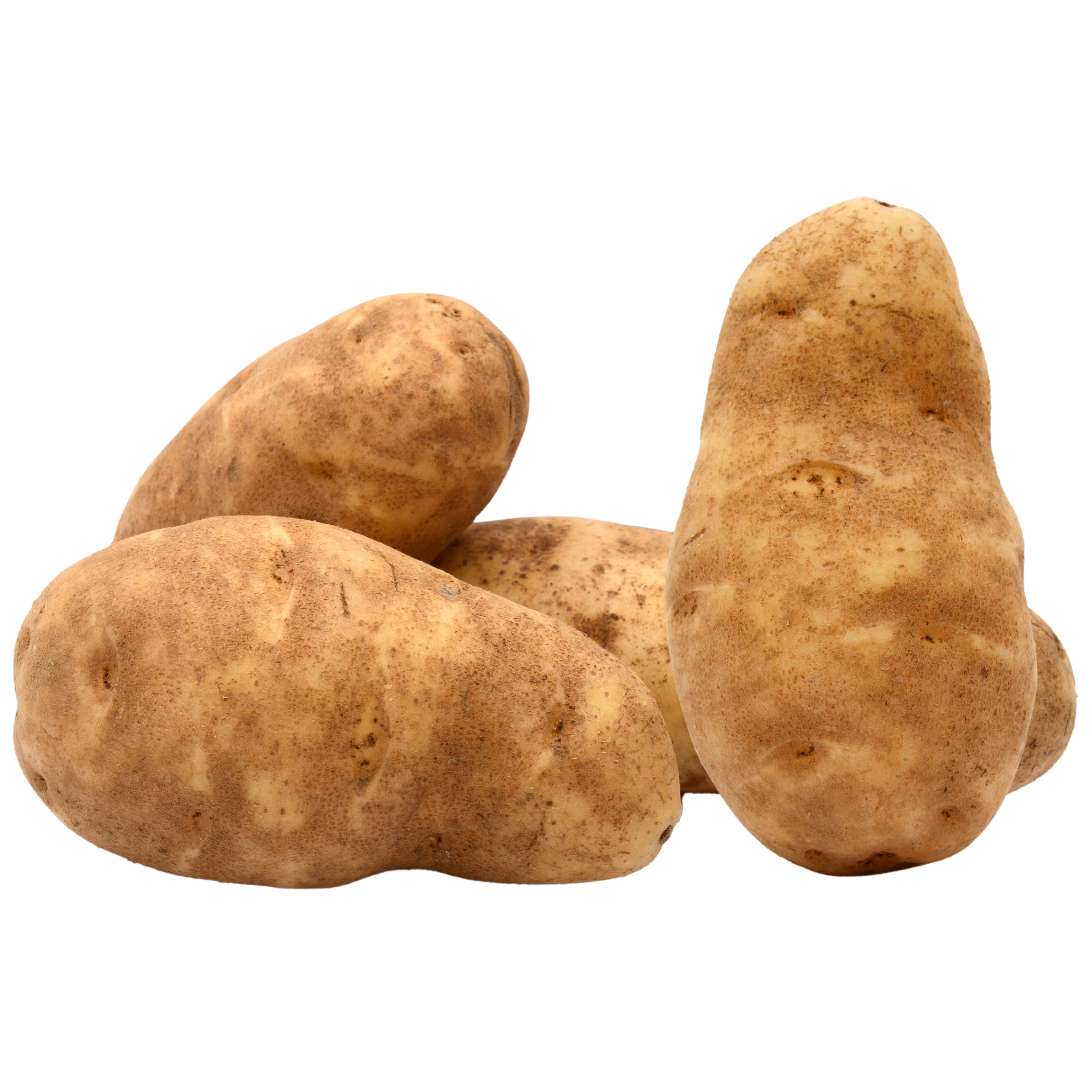 Russet Potatoes