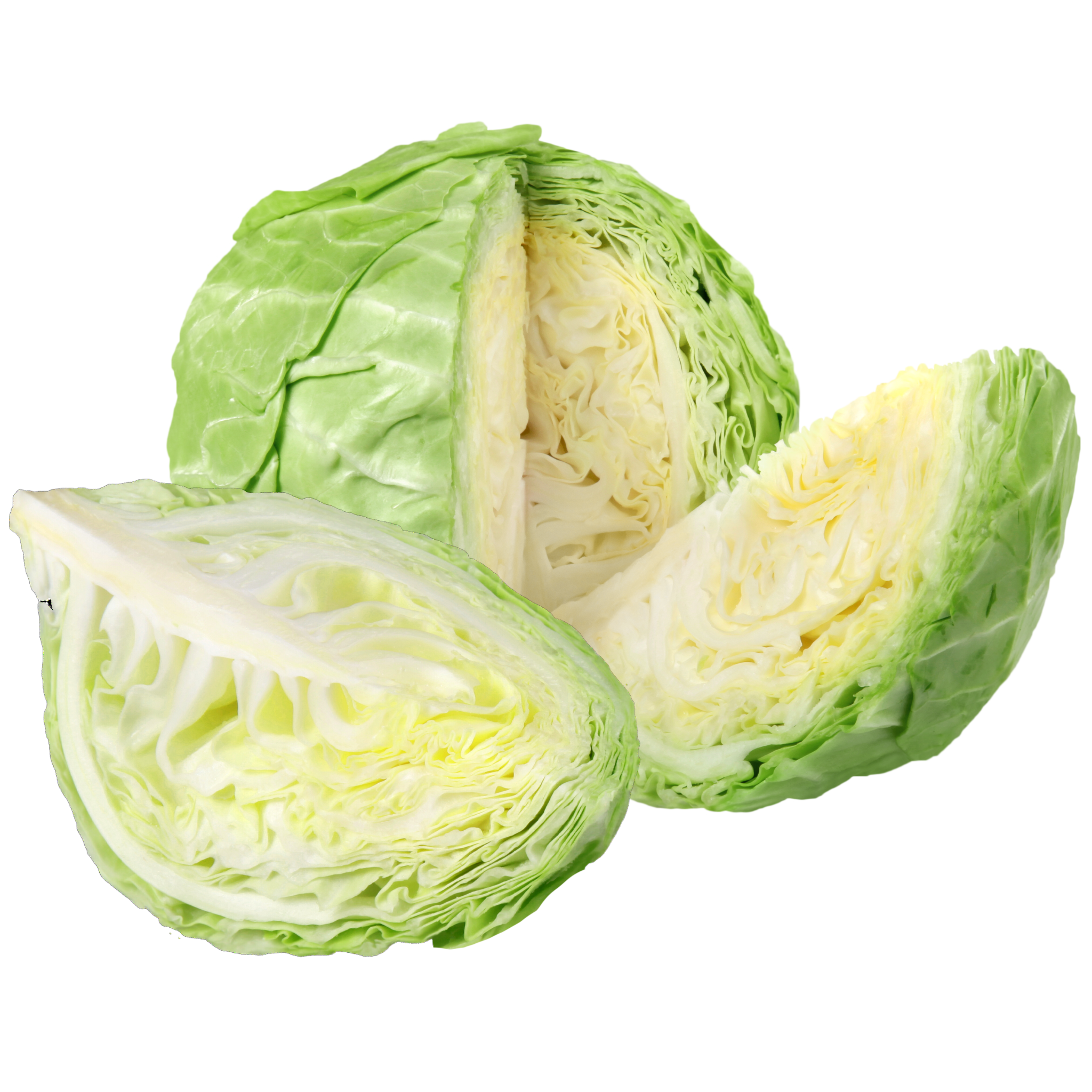 Green Cabbage