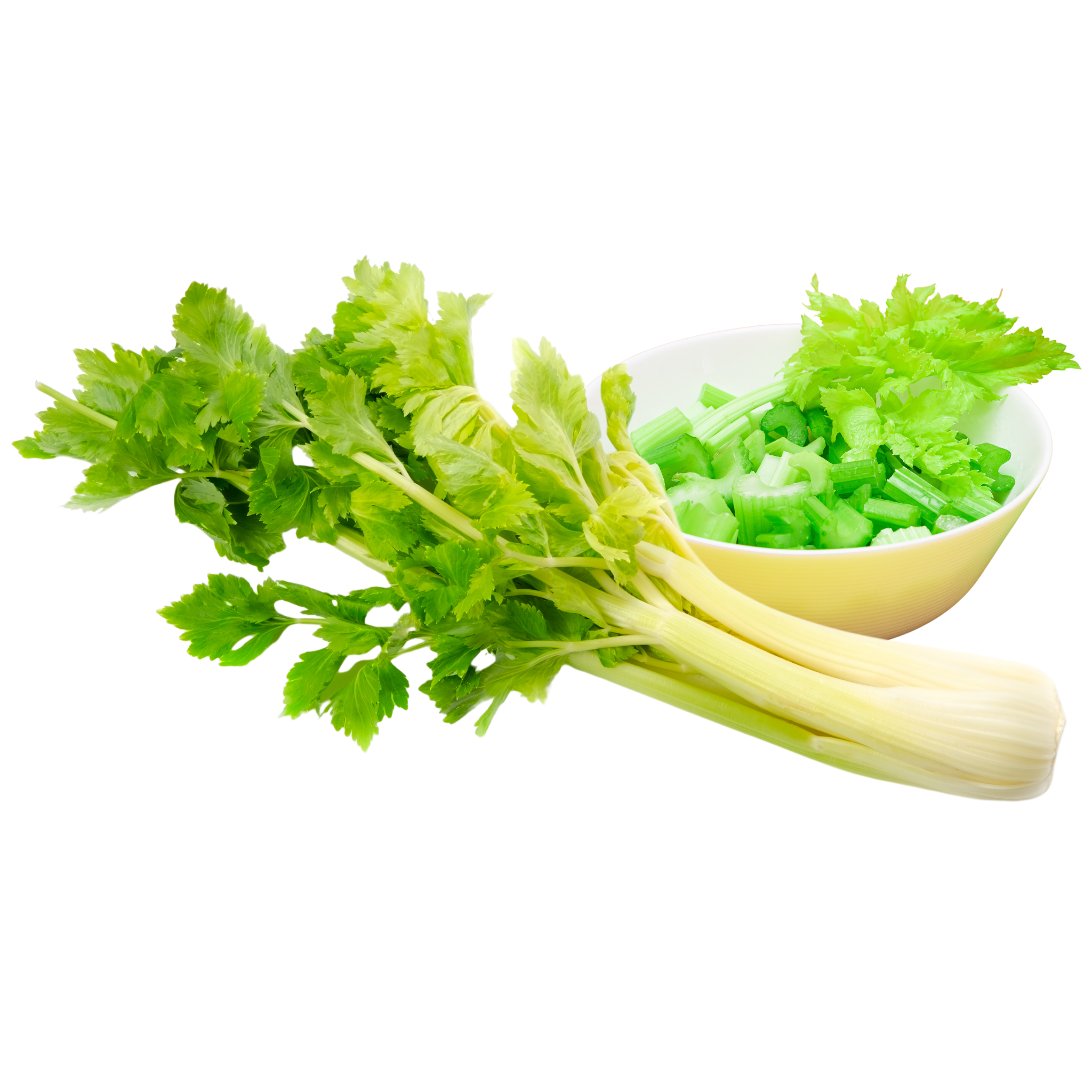 Fresh Celery